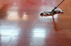 辦公區(qū)域保潔要注意哪些方面呢？