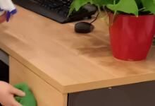 辦公區(qū)域保潔要做哪些呢？